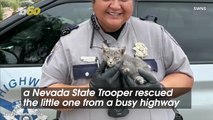 A Nevada State Trooper Stepped In to Rescue a Stranded Kitten