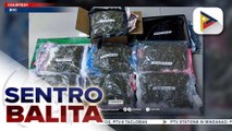 Higit P3.7M na halaga ng mga kush na tinangkang ipuslit ng bansa, naharang ayon sa BOC