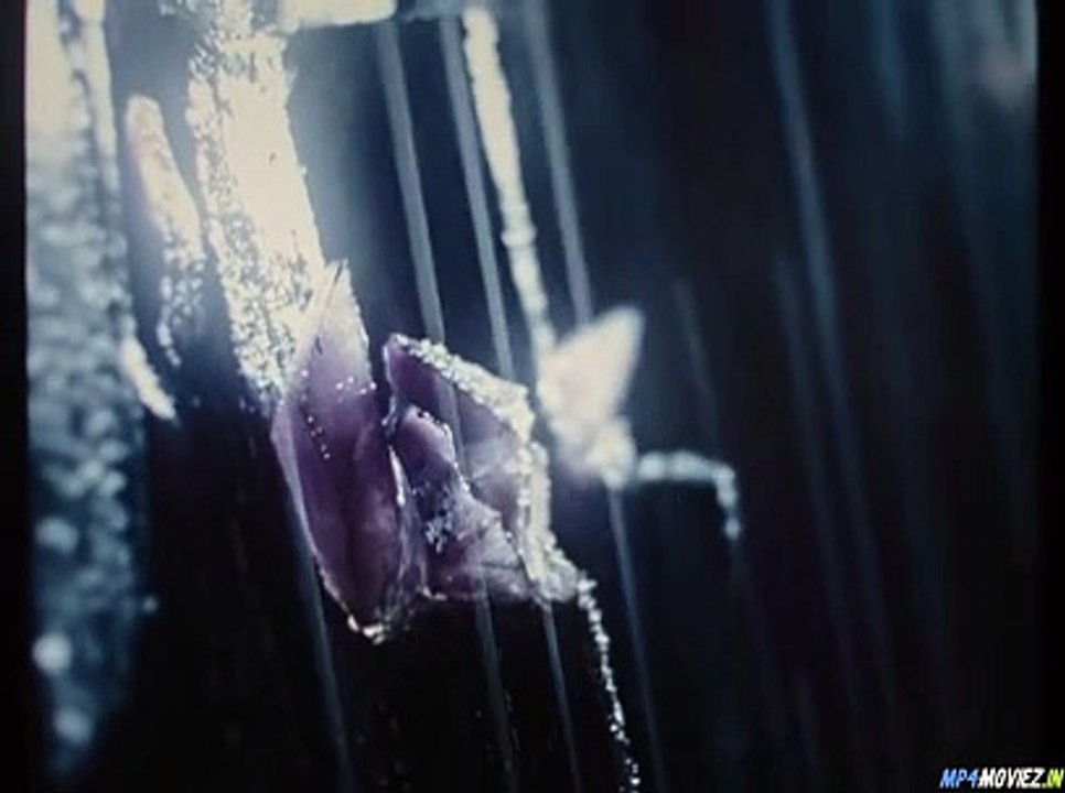 Into the Abyss (2022) ORG Full Hindi Dubbed Movie On Dailymotion 480p
