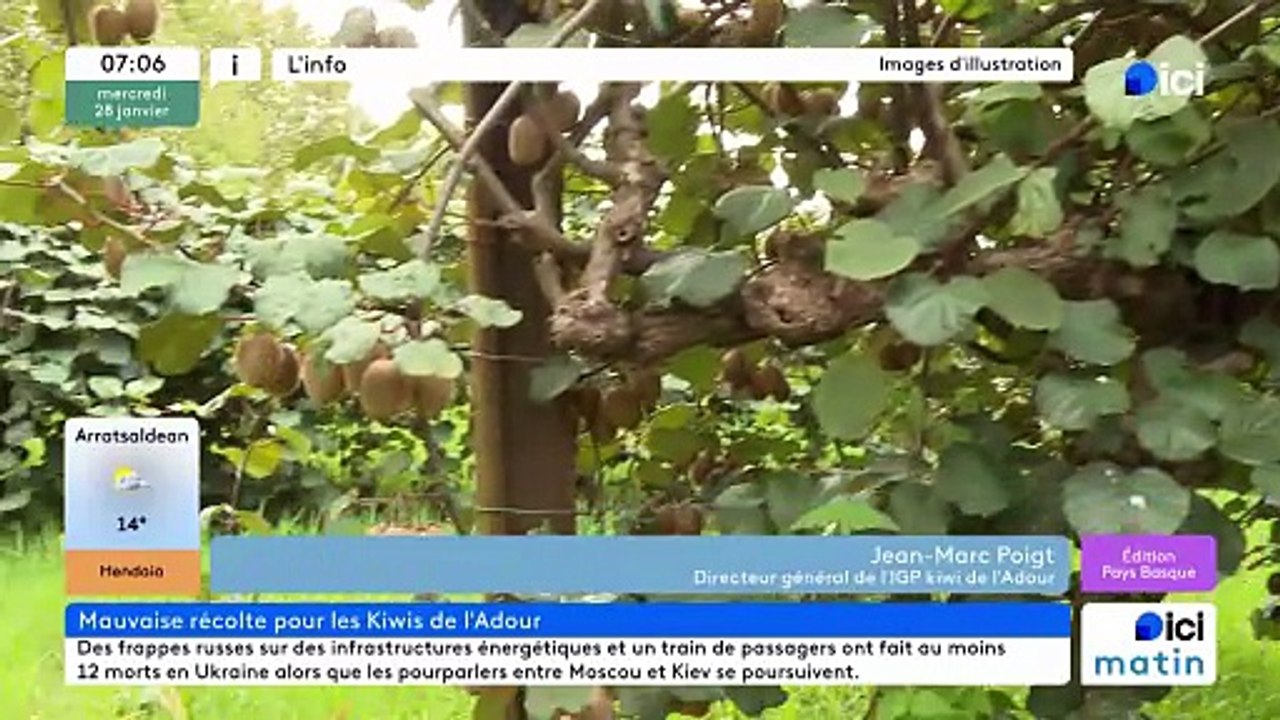 28/01/2026 - ici matin par ici Pays Basque en vidéo