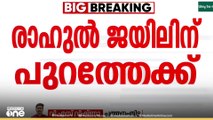 മൂന്നാം ബലാത്സംഗക്കേസിൽ രാഹുൽ മാങ്കൂട്ടത്തിൽ MLAയ്ക്ക് ജാമ്യം