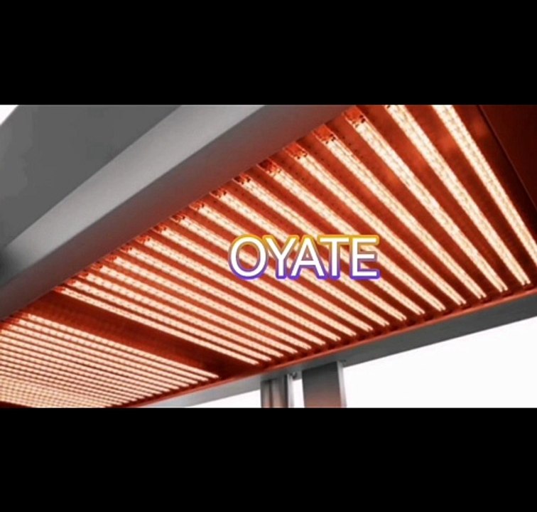 245mm 220v 2000w semi-gold-plated double tubes infrared heat lamps