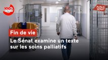 100% Sénat - Fin de vie : le Sénat examine un texte sur les soins palliatifs