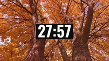 40 Minute Timer with Relaxing Music & Videos | Focus