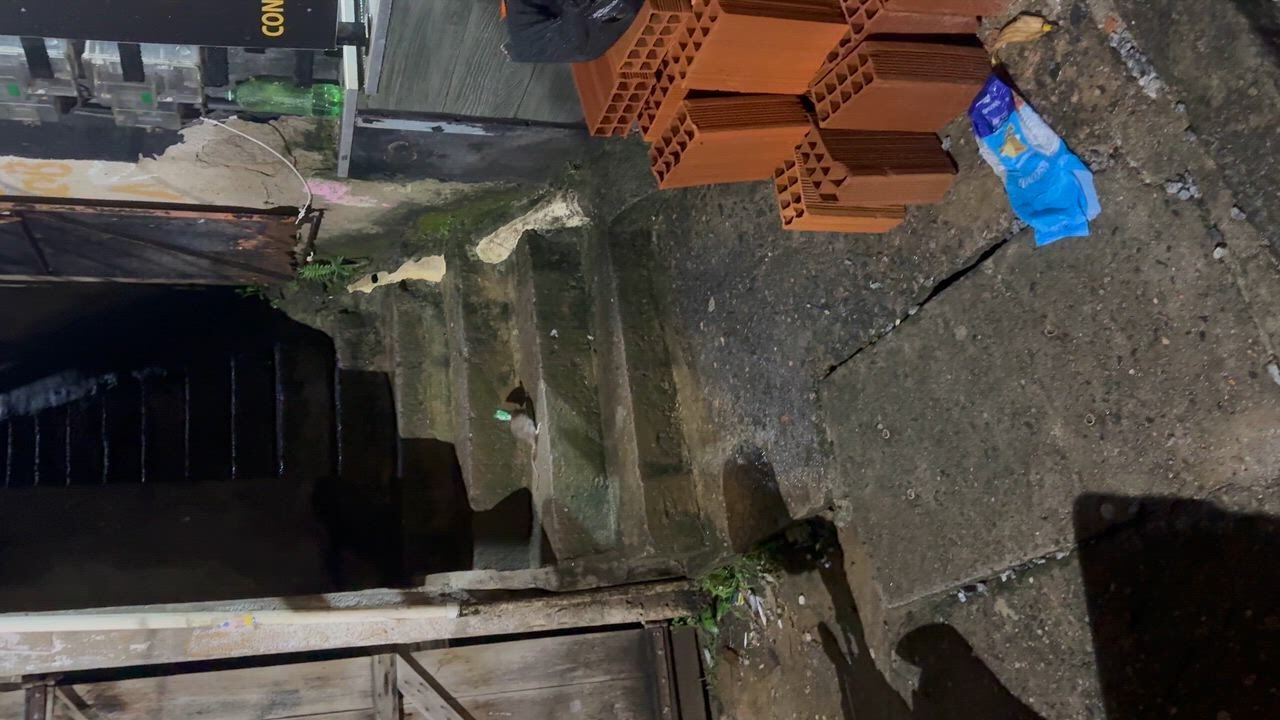 Brazil: Rat With a Peanut Package on It's Head