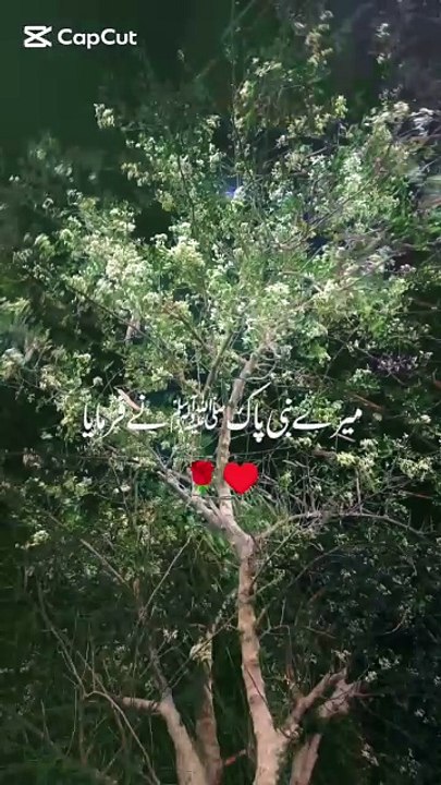 Islami video# hadees Mubarak# bayan
