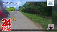 Batang iniwang mag-isa sa tabing-kalsada, sinagip | 24 Oras