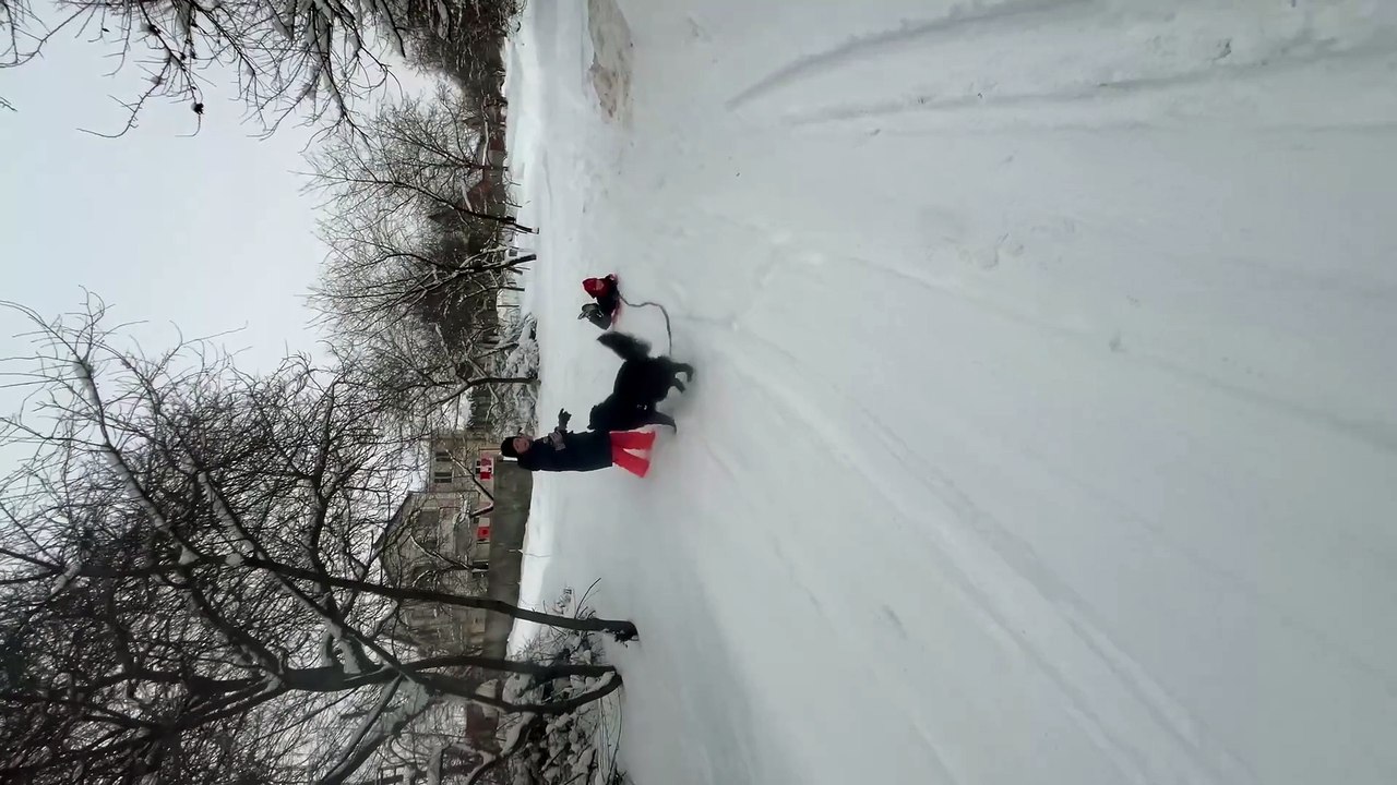 Ukraine: Dog Pulls Kid on a Sled