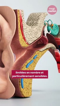 Ce trouble de santé progresse chez les jeunes et concernera 1 Français sur 4 d’ici 2050