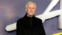 James Cameron has described marriage as a 'learned art' after previously getting divorced four times