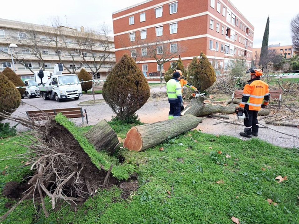 El fuerte viento causa "muchas incidencias" en Ciudad Real