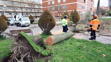 El fuerte viento causa "muchas incidencias" en Ciudad Real