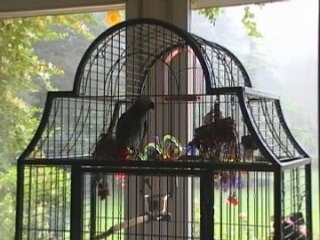 ça va barder attention hein