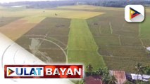 Paglago ng agriculture at fisheries sector, ikinatuwa ni Sec. Tiu Laurel Jr. | ulat ni Gab Villegas