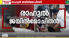 ജയിൽ മോചിതനായ രാഹുലിന് നേരെ ചീമുട്ടയേറ് ;  യുവമോർച്ചയുടെ നേതൃത്വത്തിൽ പ്രതിഷേധം