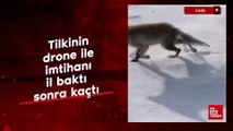 Kars'ta tilkinin dronla imtihanı