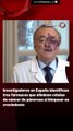 Investigadores en España identifican tres fármacos que eliminan células de cáncer de páncreas al bloquear su crecimiento