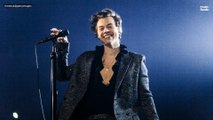 Harry Styles Is Coming Back To Australia In 2026 For A Coupla Stadium Shows