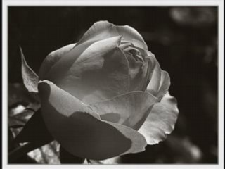 L amoure et l'espoire d un enfant malade