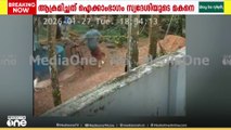 കുട്ടിക്ക്  നേരെ തെരുവ് നായ ആക്രമണം ; തലനാരിഴക്കാണ് കുട്ടി രക്ഷപ്പെട്ടത്