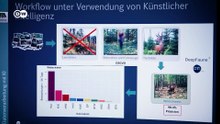 Wie künstliche Intelligenz Deutschlands Wildtiere schützt