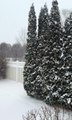 Heavy snowfall blankets Long Island during Winter Storm Fern, USA