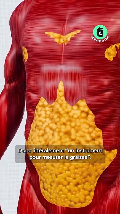 L'outil pour mesurer la graisse !
