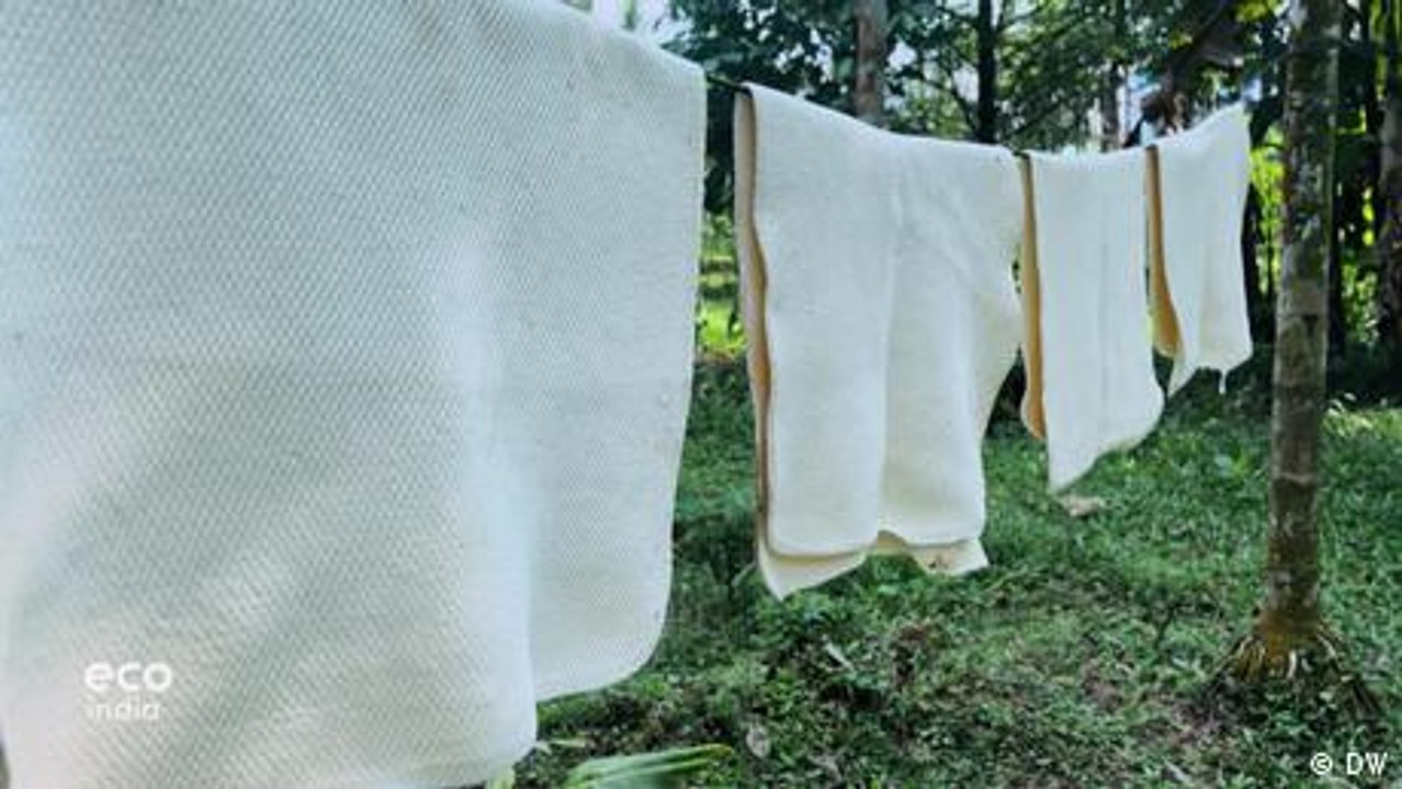 Kerala und die ungewisse Zukunft des Kautschuks