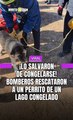 ¡ Lo salvaron de congelarse ! Bomberos rescataron a un perrito de un lago congelado