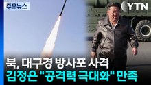 북 "갱신된 대구경 방사포 시험사격...공격력 극대화" / YTN