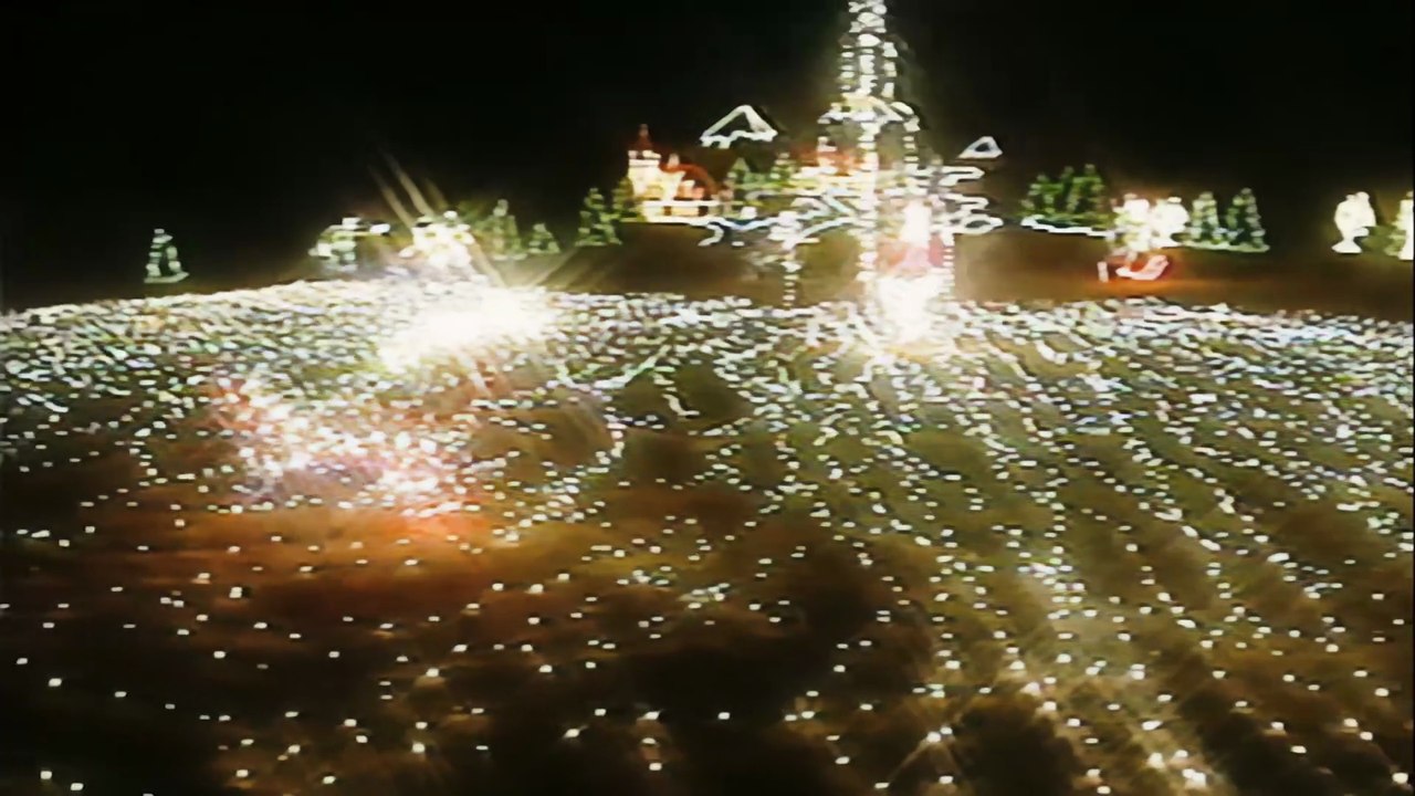 The Garden of Lights Festival at Cypress Gardens (Retrospective)