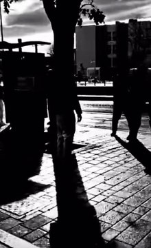 Image from field_mediaid