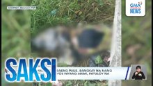 Nawawalang babaeng pulis, bangkay na nang matagpuan | Saksi