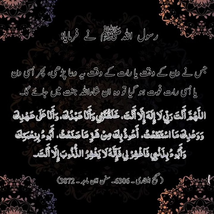 Daily Hadith