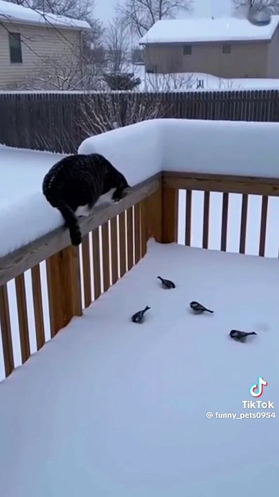 Ich würde sagen dumm gelaufen