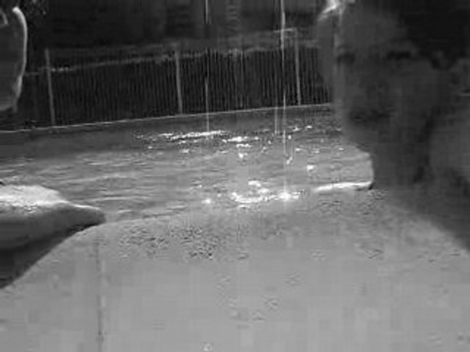 MOV06606