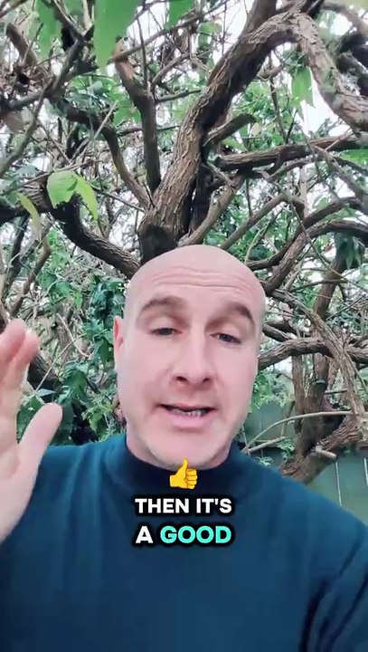 3 Lessons to Affiliate Marketing Nobody Talks About