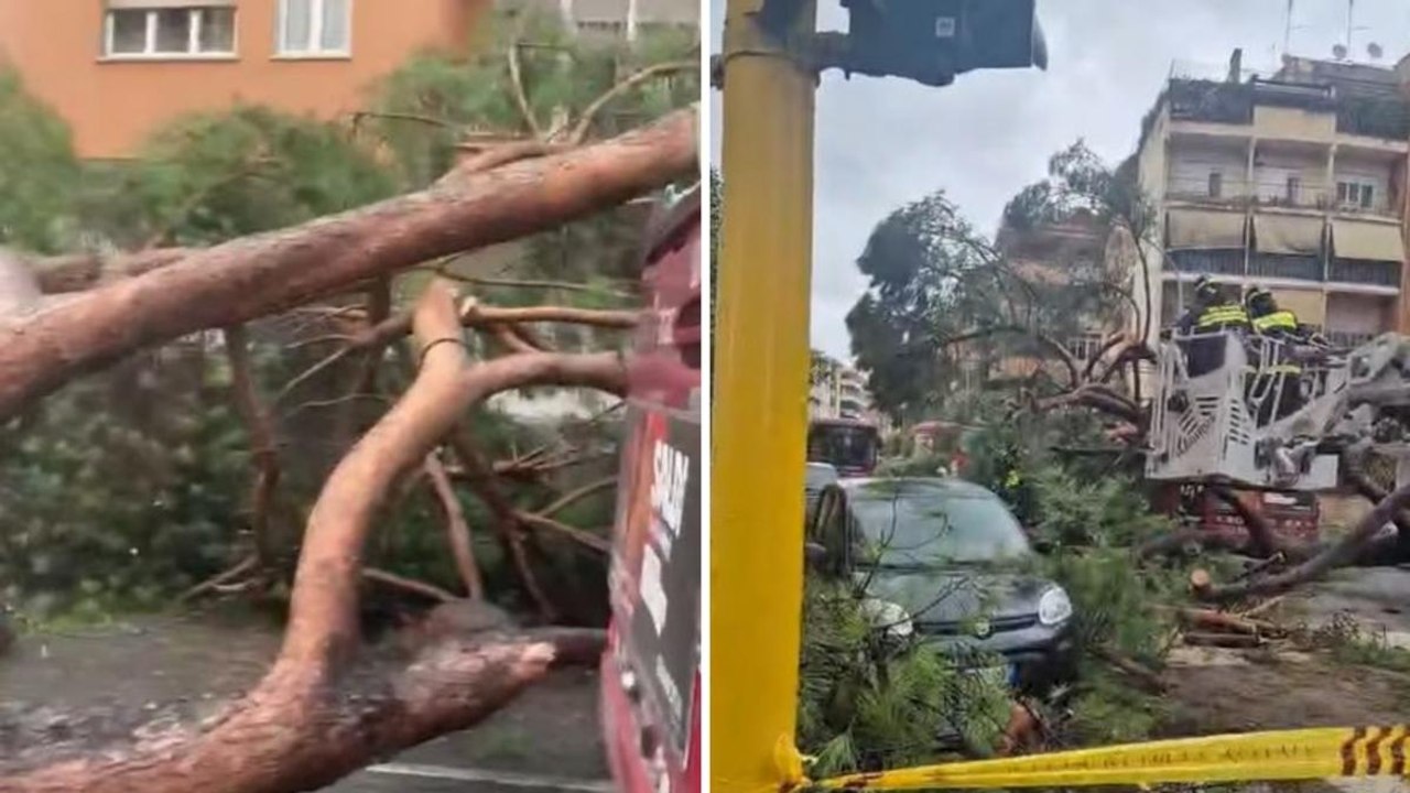 Cade un albero alla Balduina, a Roma: colpito un autobus Atac