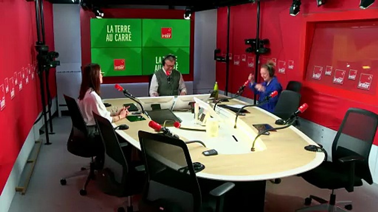 Phobie des araignées, comment se sortir de la toile ? La terre au carré