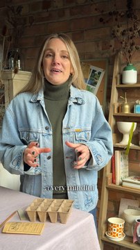 Petals & Roots: Sowing Icelandic Poppy Seeds #shorts