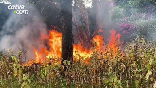 Vegetação pega fogo no bairro Maria Luiza em Cascavel