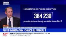 Immigration: Laurent Jacobelli, porte-parole du RN, appelle à 