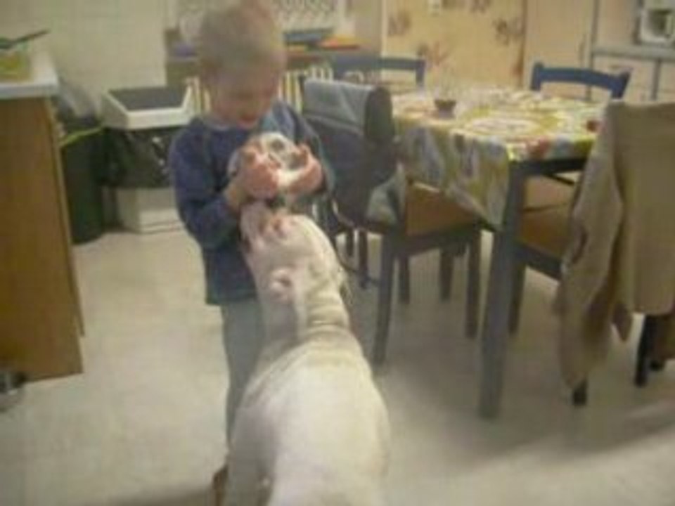 Photo 1145
