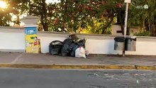 Red Ambiental incrementa al 30% la restricción en la recolección de basura en Puerto Vallarta