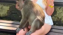 10 Mother Animals That Protect Their Babies from Danger 🥹