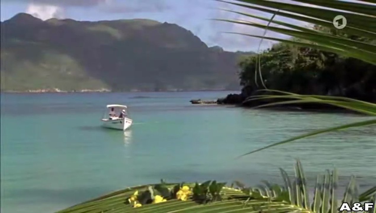 Das Traumhotel -16- Tobago