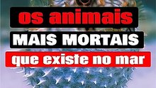os animais mais mortais do mar