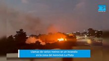 Incendio y llamas de varios metros en la zona del Aeroclub La Plata