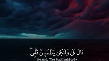 the profound words of Allah ﷻ touch your heart beautiful islamic video