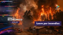 IMPACTO ECONÓMICO ESTELAR | Lucro por incendios forestales en la Patagonia 28-01-2026